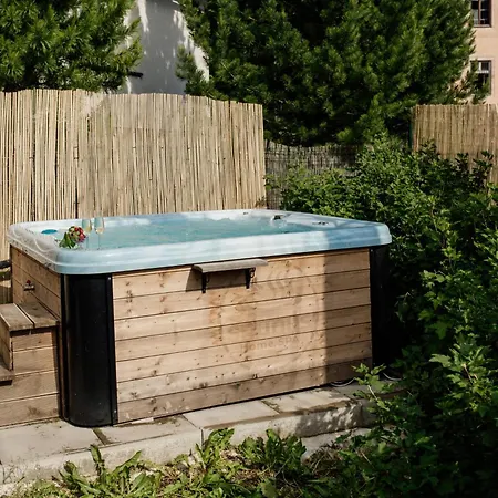 Mountain With Sauna & Jacuzzi Chalet